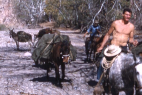Horseback Expedition